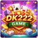 DK222 Game