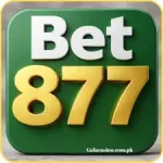 Bet 877